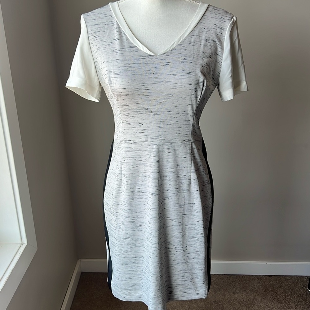 Dynamite V-Neck Dress